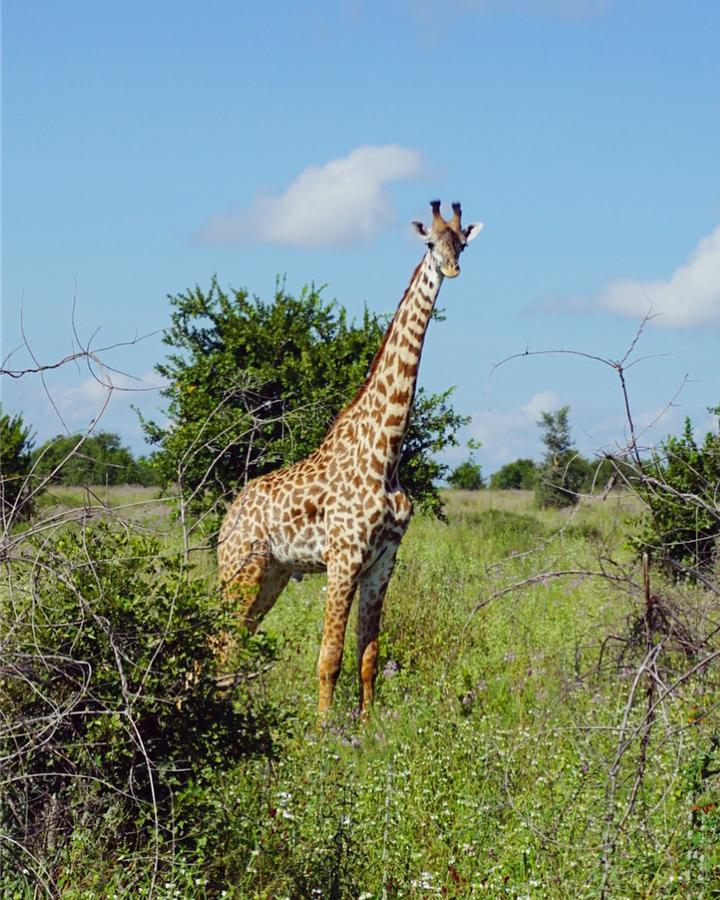 Mabata Makali Luxury Tented Camp Ilusi Exterior foto
